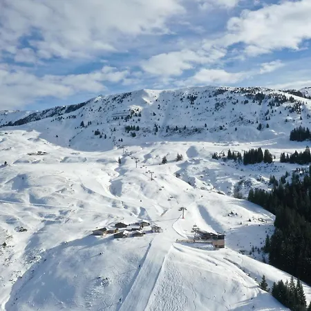 Bauernhof Haindlbauer Kirchberg in Tirol