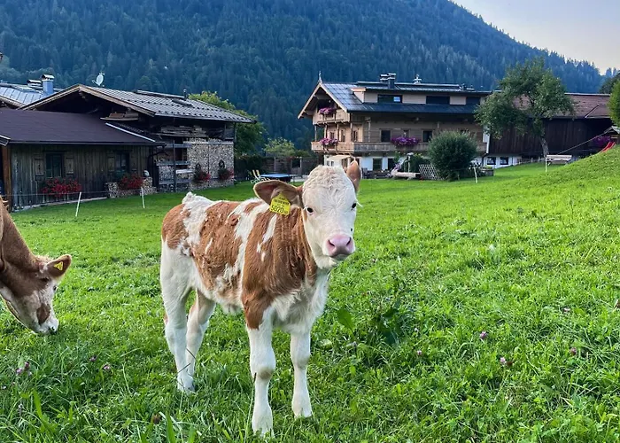 Haindlbauer * Kirchberg in Tirol